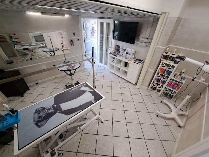 Animal Beauty di Errico Michele - Foto 5