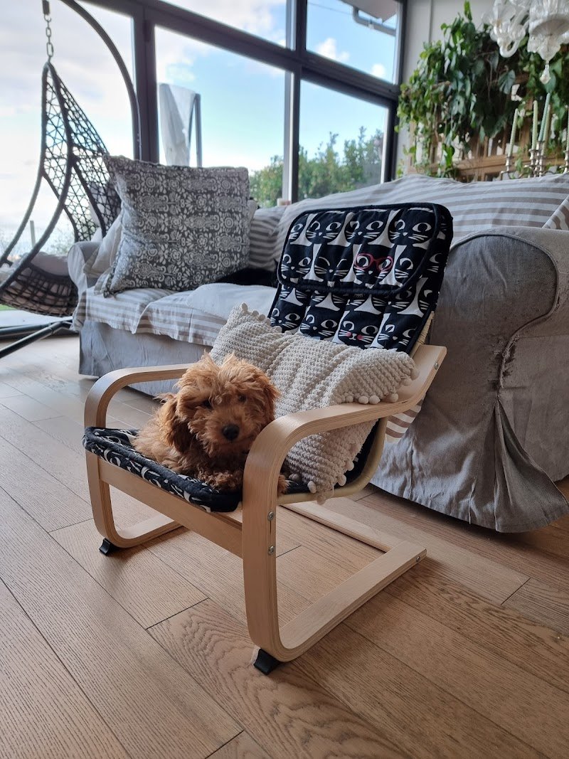 Animal beauty - Foto 3