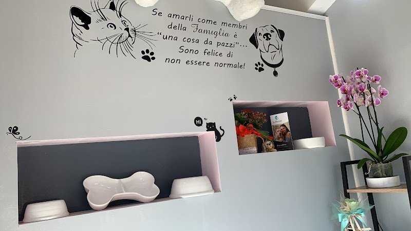 Animal beauty - Foto 4