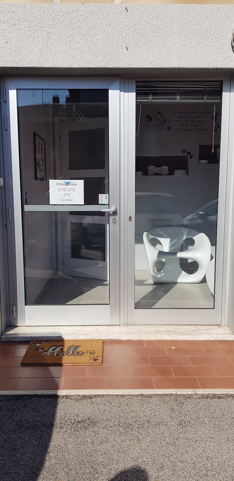 Animal beauty - Foto 6