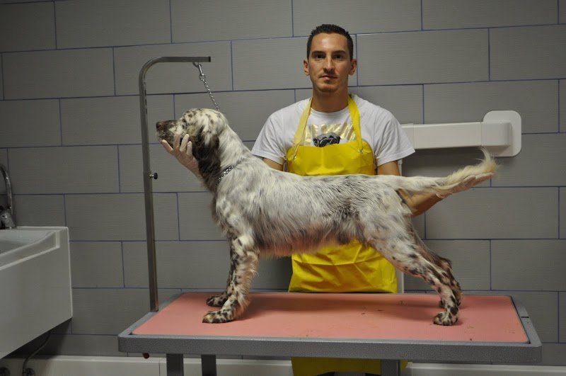 Animal Beauty & shop - Foto 5