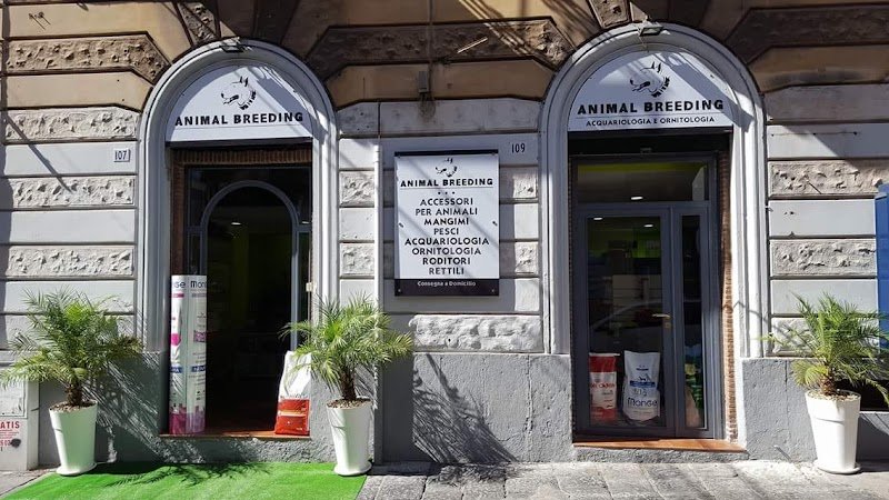 Animal Breeding - Shop & Toelettatura - Foto 1