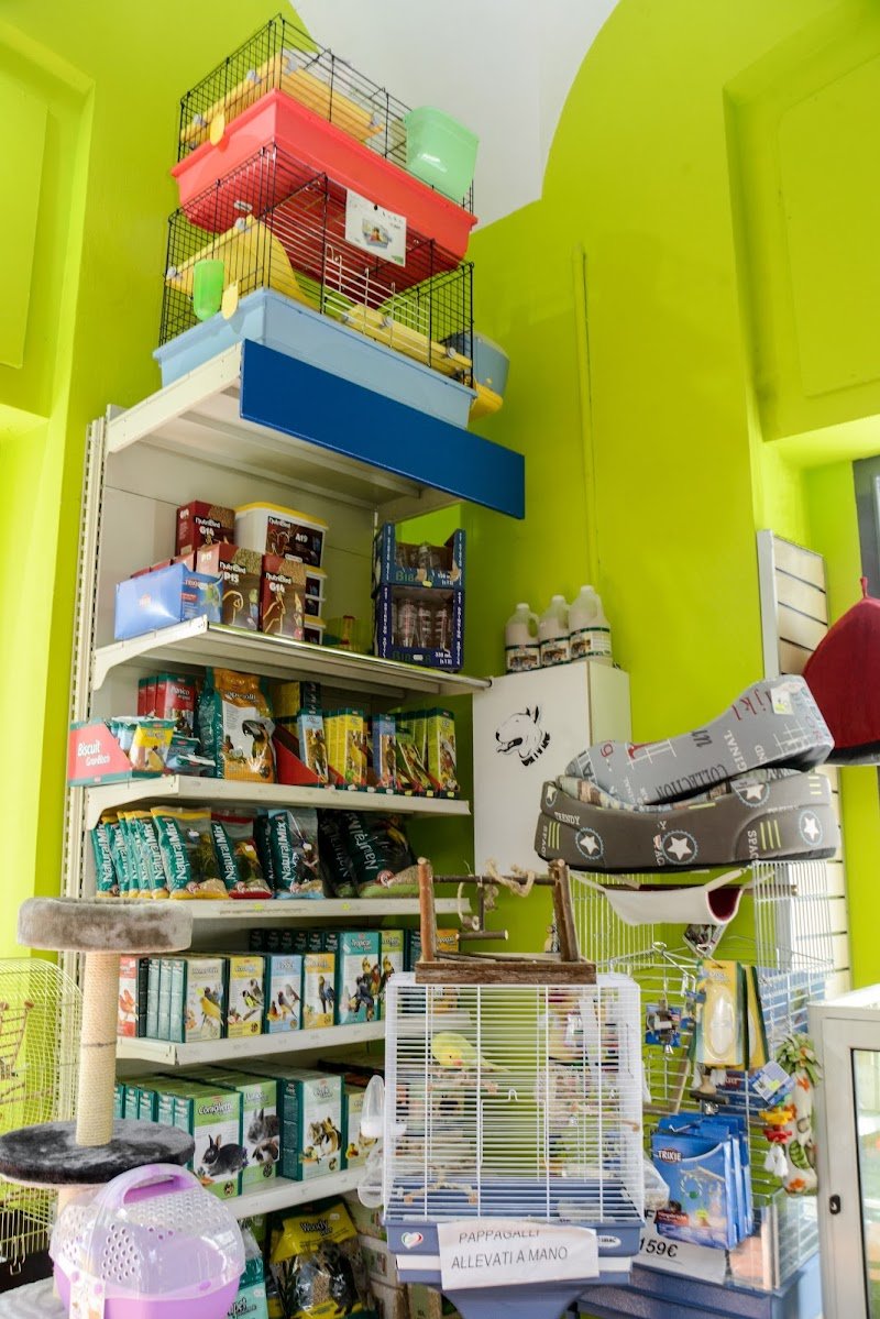 Animal Breeding - Shop & Toelettatura - Foto 4