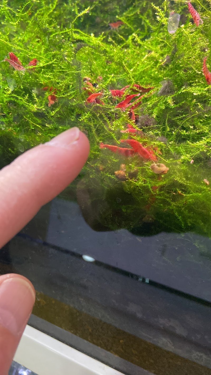 Animal Center - Foto 3