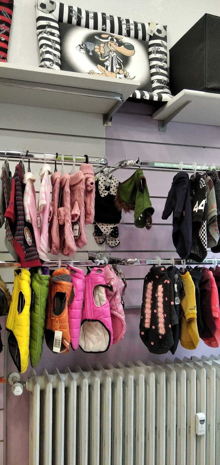 Animal Fashion - Foto 6