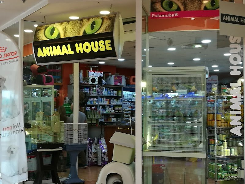 Animal House - Foto 1