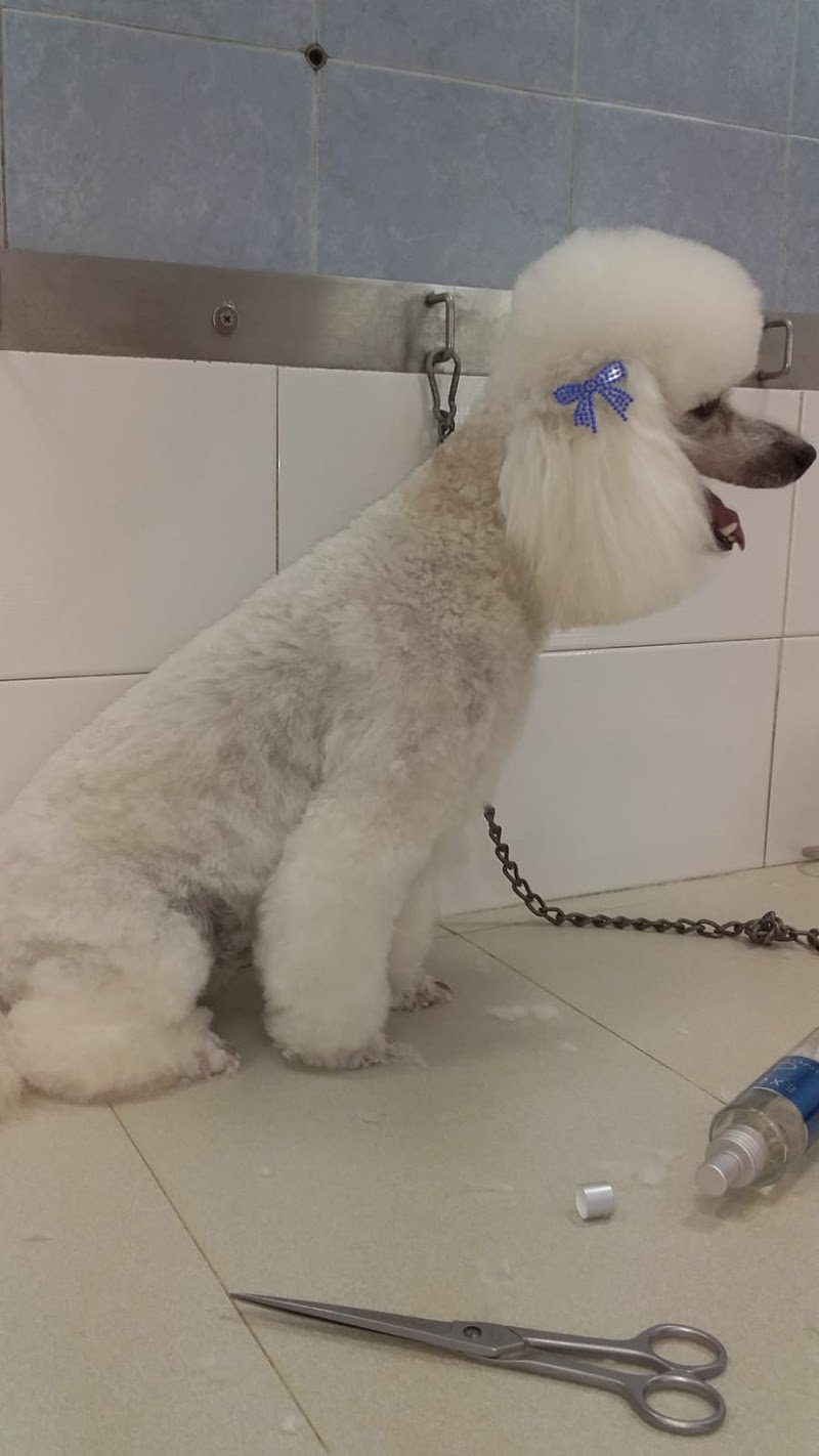 Animal House - Foto 3