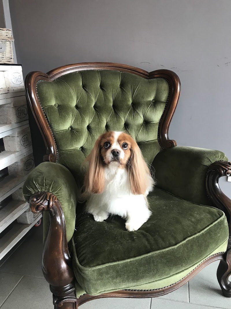 Animal House - Foto 1