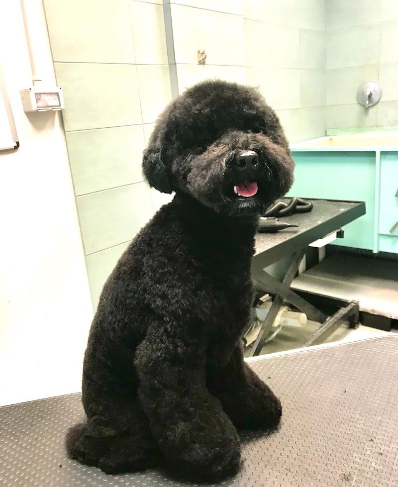 Animal House - Foto 2