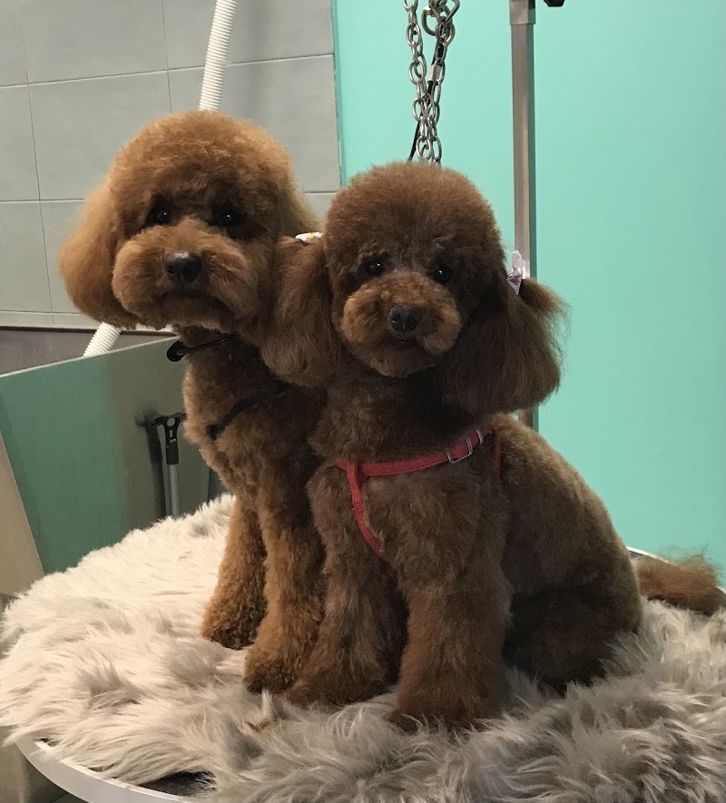 Animal House - Foto 3