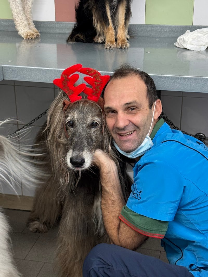 Animal House Di Cavina Gabriele - Foto 5