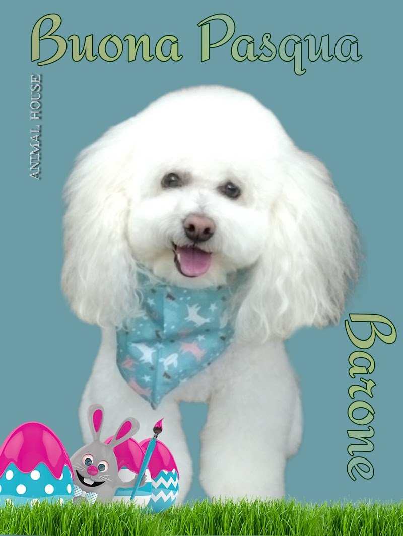 Animal House - Foto 1