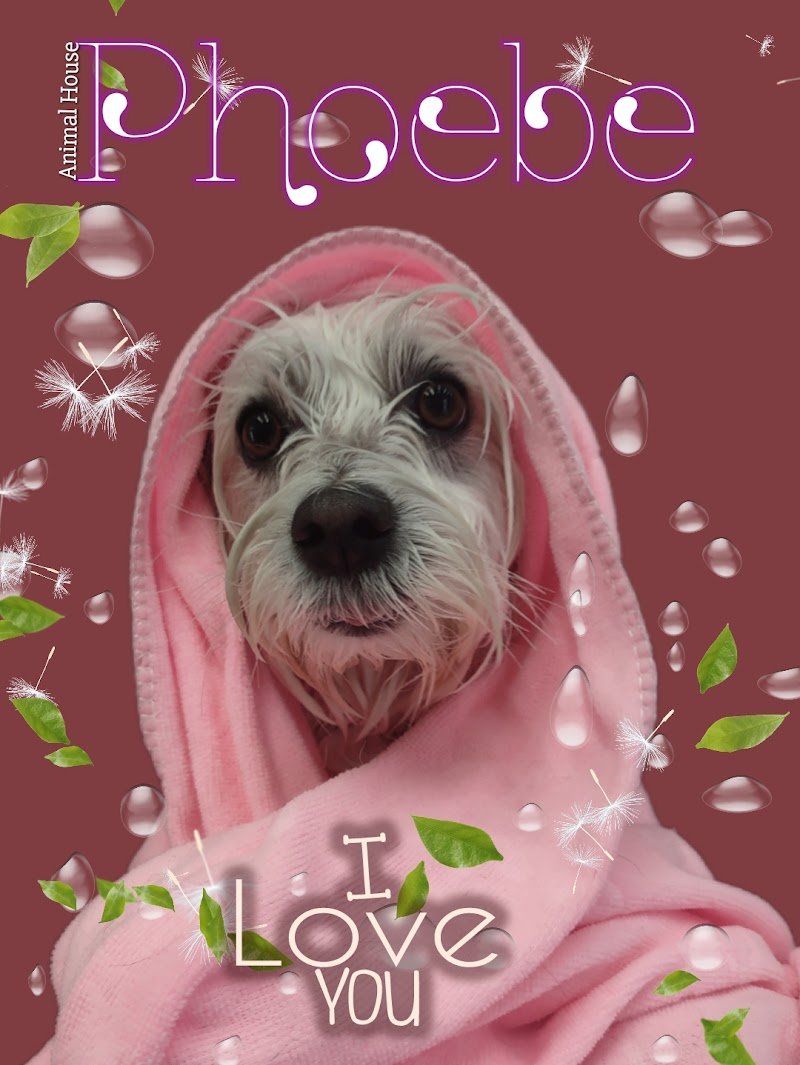 Animal House - Foto 3