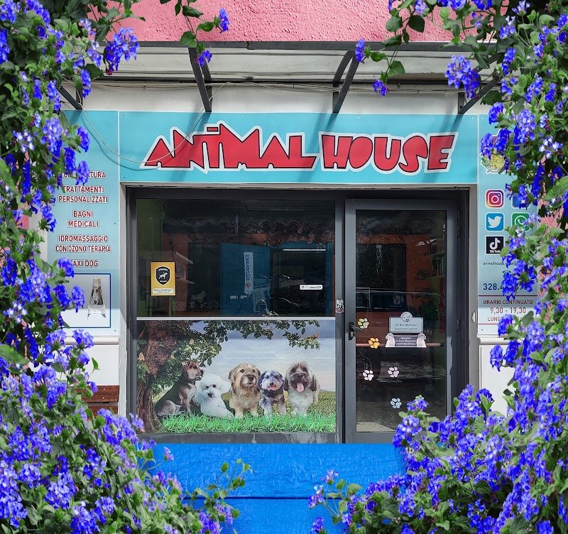 Animal House - Foto 6