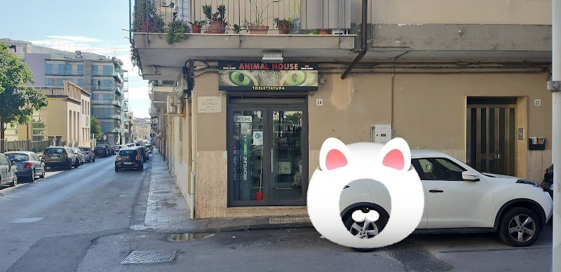 Animal House - Foto 1