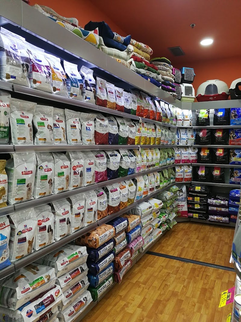 Animal House - Foto 2