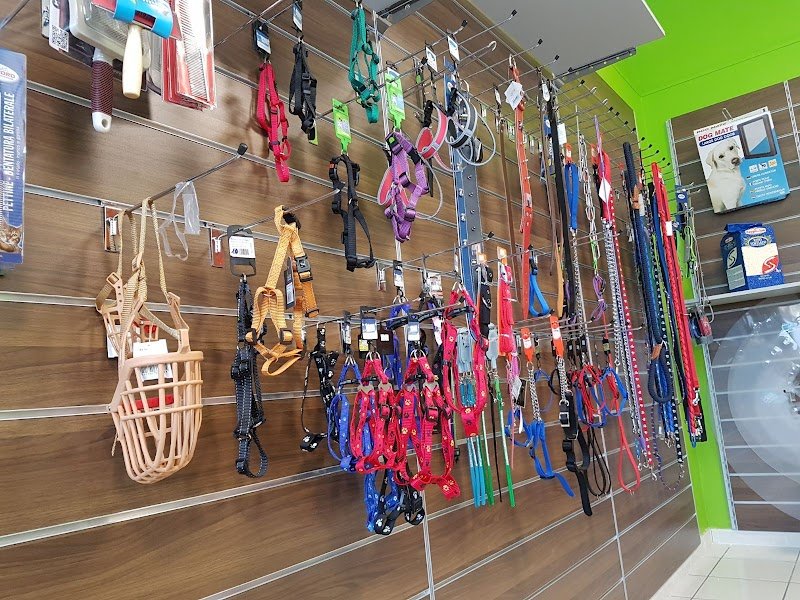 ANIMAL HOUSE Toelettatura Cani & Pet Shop - Foto 1