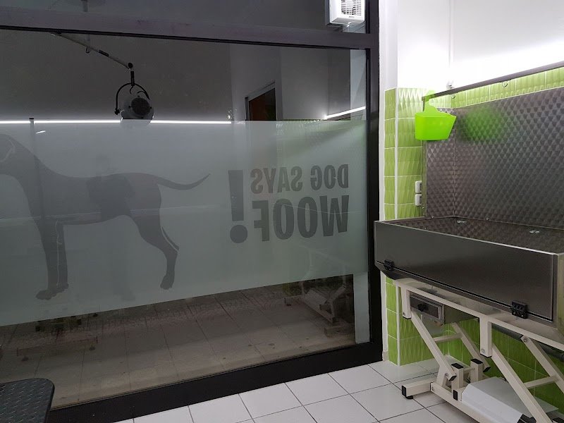 ANIMAL HOUSE Toelettatura Cani & Pet Shop - Foto 3