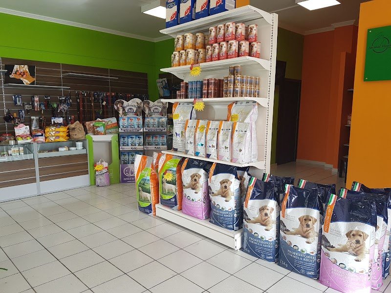 ANIMAL HOUSE Toelettatura Cani & Pet Shop - Foto 4
