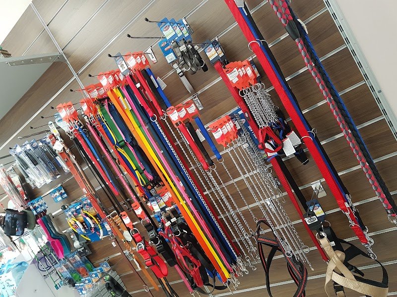 ANIMAL HOUSE Toelettatura Cani & Pet Shop - Foto 6