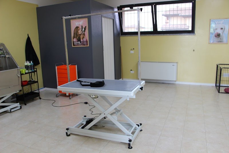 Animal Lovers' Salon - Foto 2