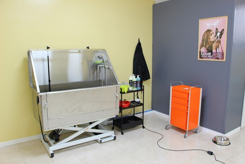 Animal Lovers' Salon - Foto 3