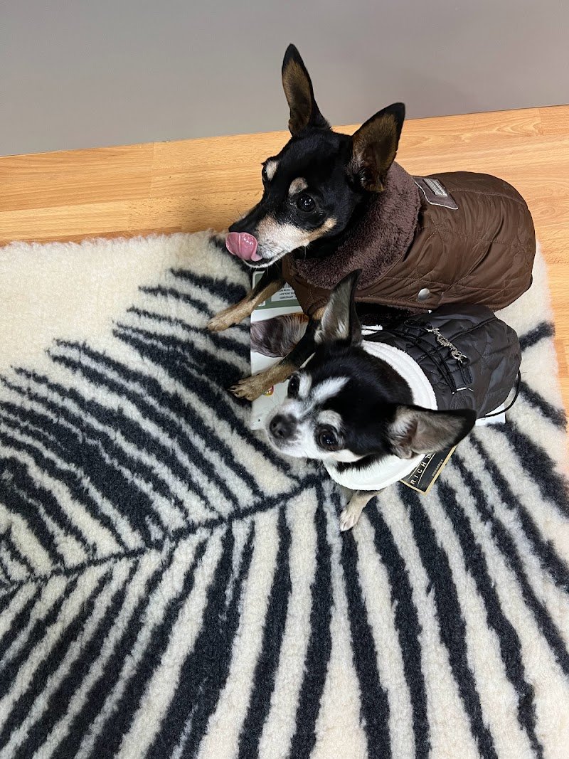 Animal Paradise - Foto 2