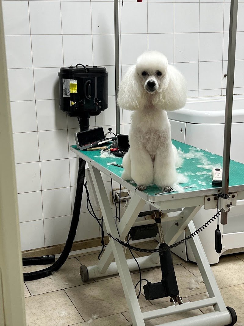 Animal Paradise - Foto 3