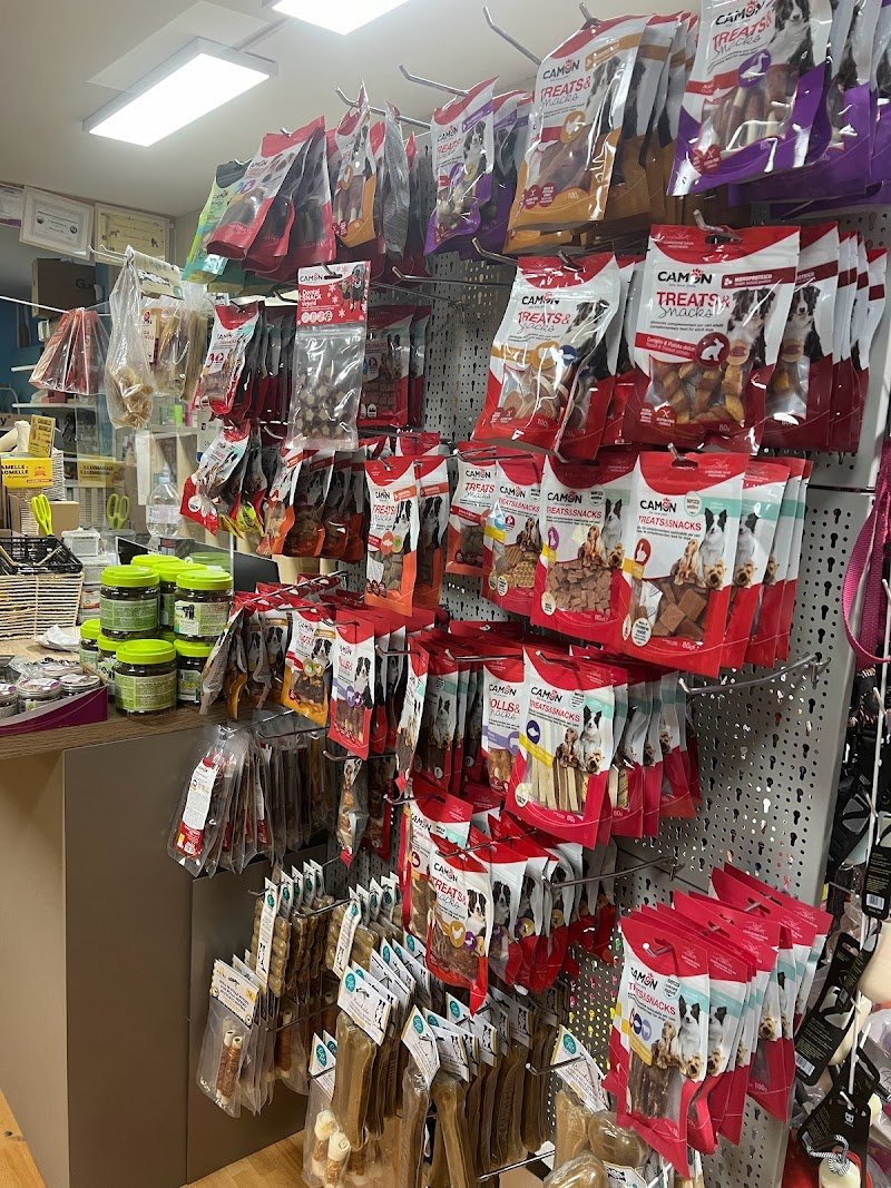 Animal Paradise - Foto 4