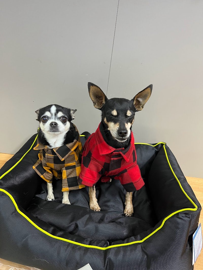 Animal Paradise - Foto 5