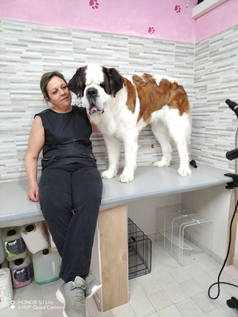 Animal Paradise - Foto 4