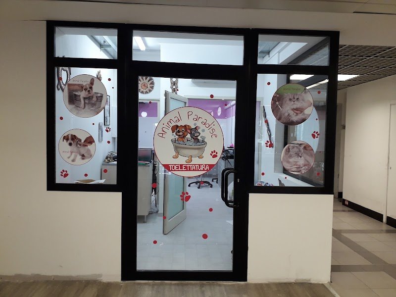 Animal Paradise - Foto 5