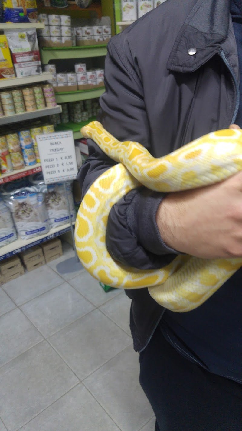 Animal Planet - Foto 2