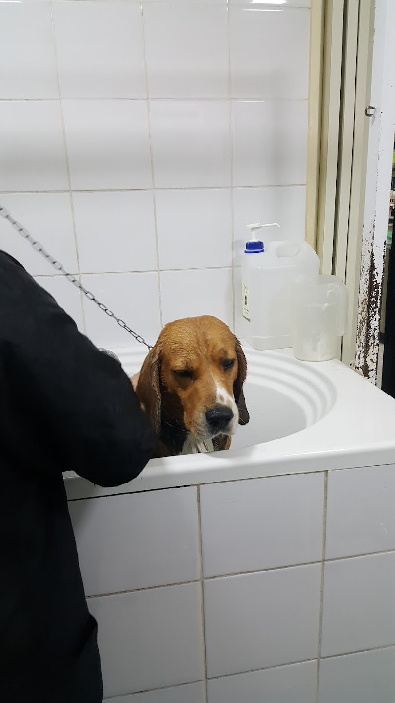 Animal Planet - Foto 3