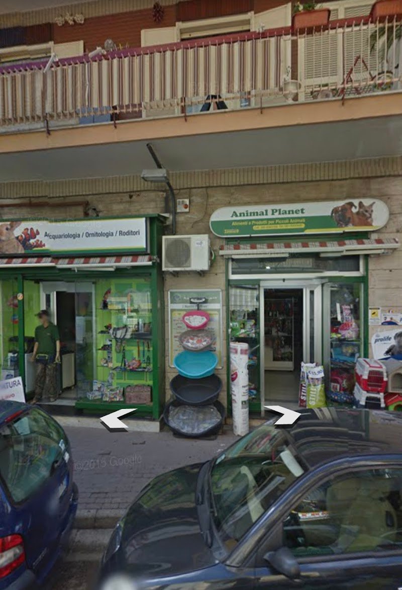 Animal Planet - Foto 5