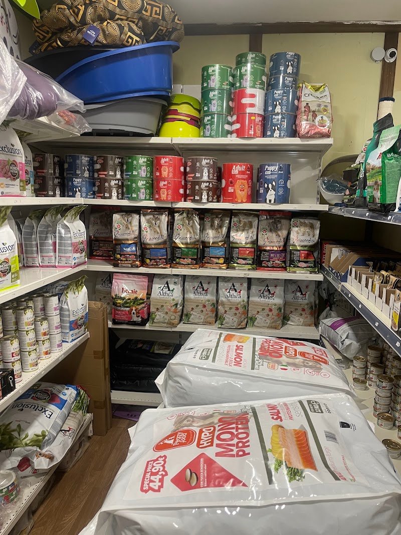 Animal Planet Bacoli - Pet Shop & Toelettatura - Foto 2