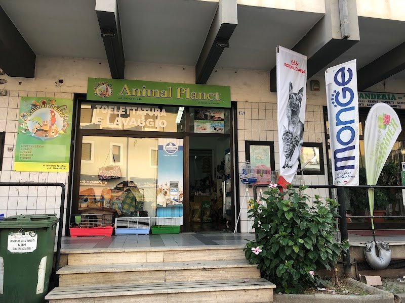 ANIMAL PLANET di SALVATORE TASSITANI - Foto 1