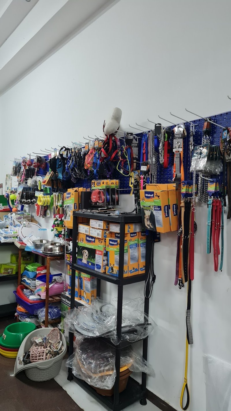 ANIMAL PLANET di SALVATORE TASSITANI - Foto 2