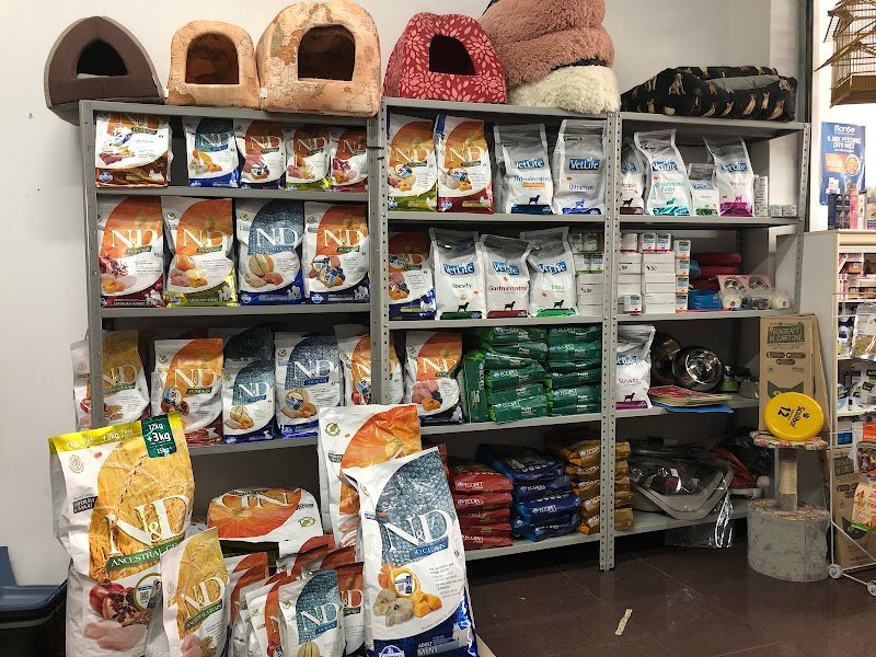 ANIMAL PLANET di SALVATORE TASSITANI - Foto 5