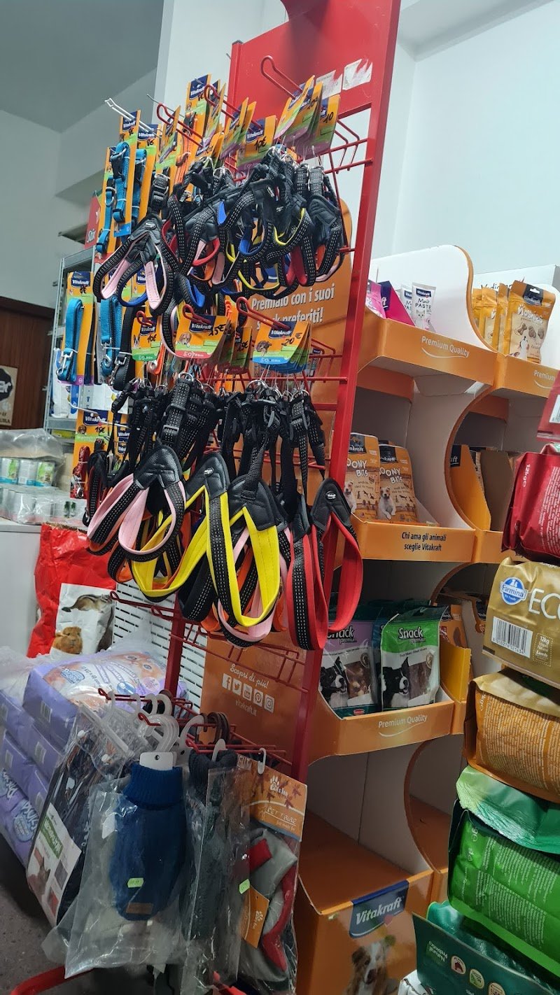 ANIMAL PLANET di SALVATORE TASSITANI - Foto 6