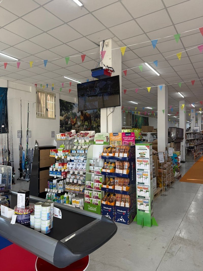 Animal Planet Gela - Foto 5