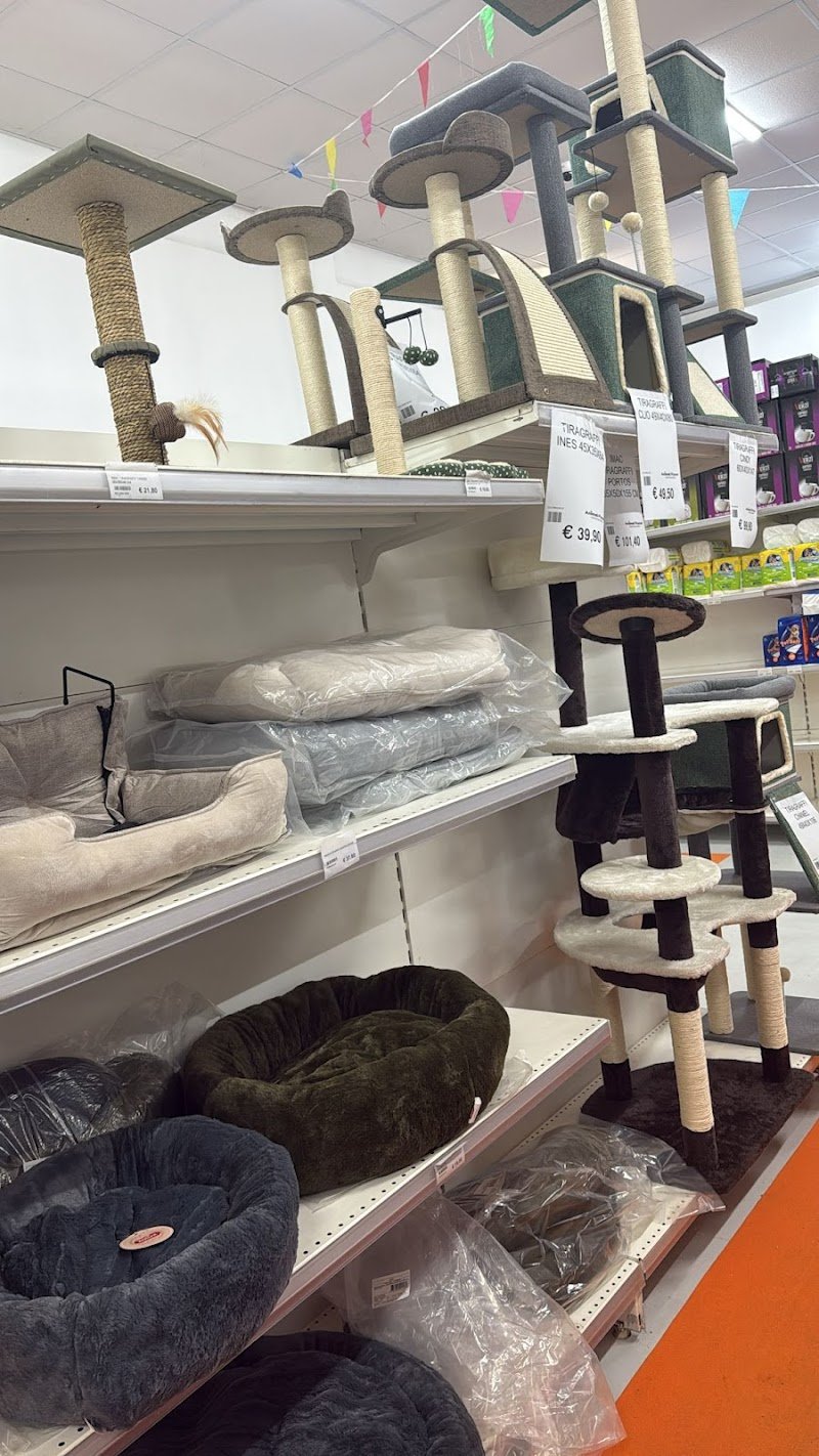 Animal Planet Gela - Foto 6