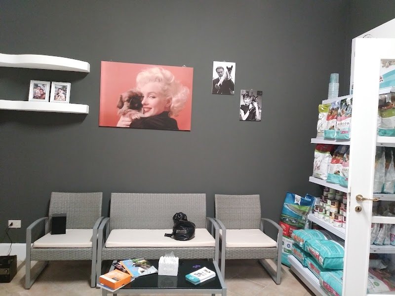 Animal Planet - Foto 2