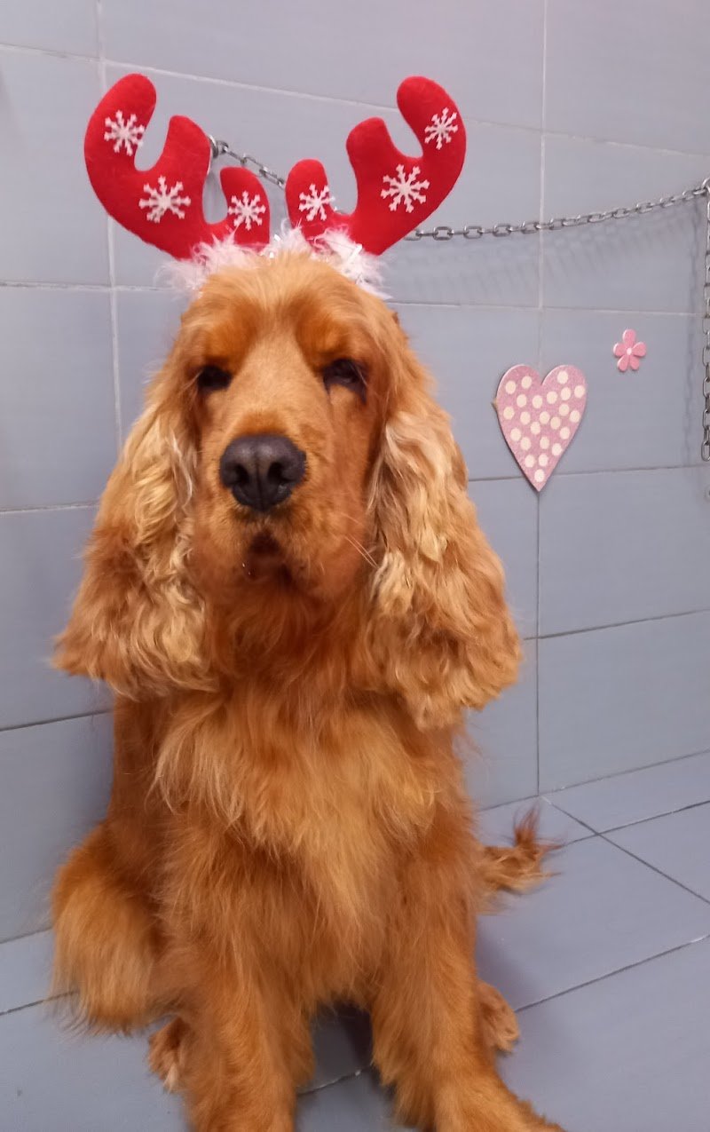 Animal Planet - Foto 4