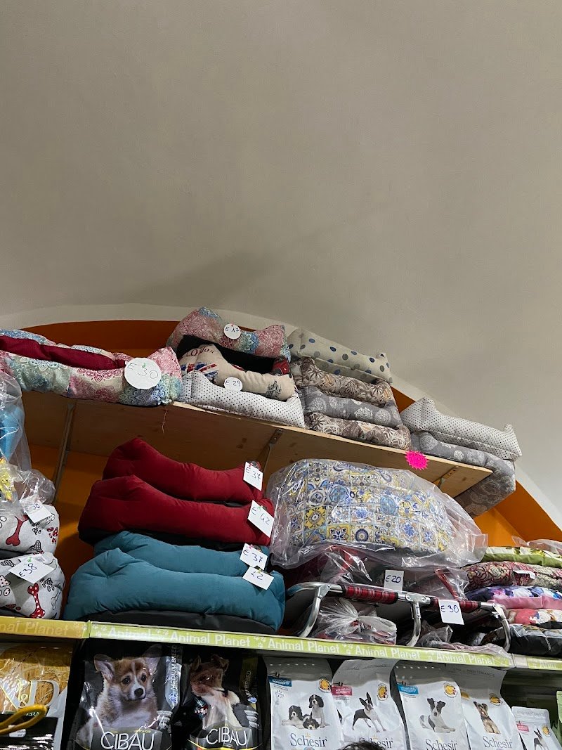 Animal Planet - Foto 1