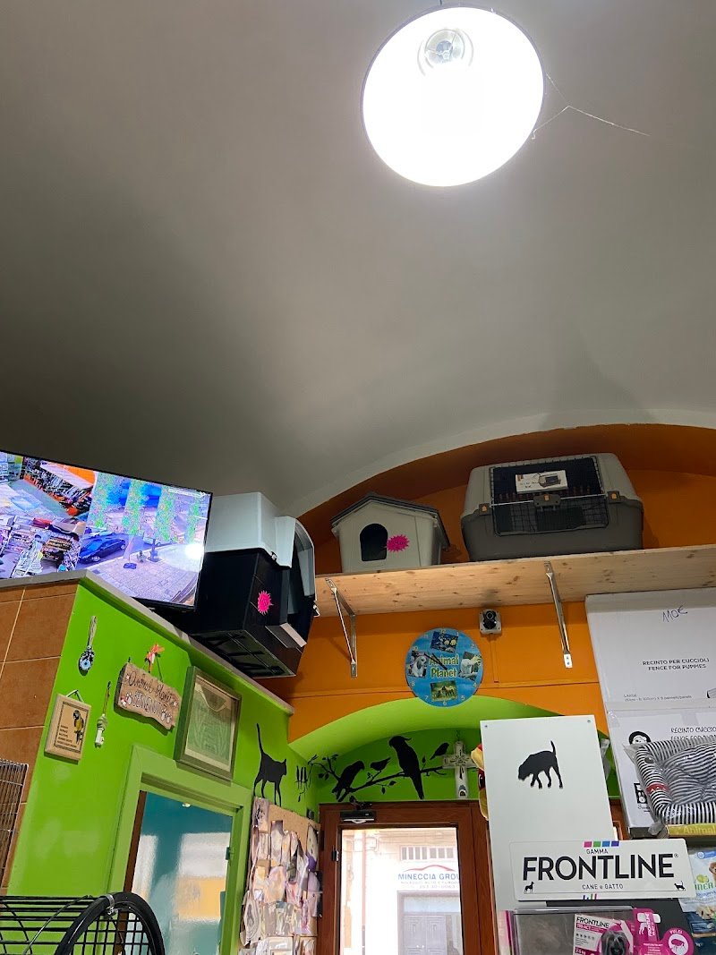 Animal Planet - Foto 2