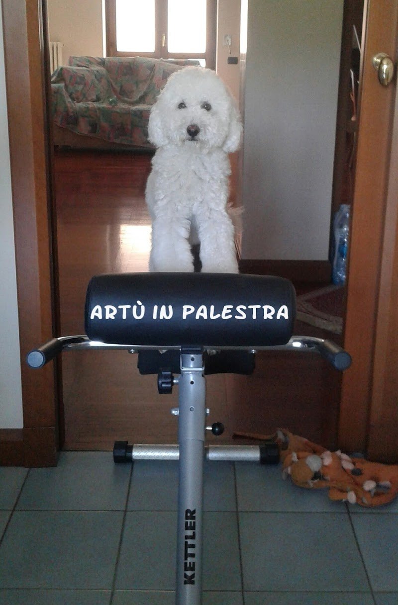 Animal Planet - Foto 3