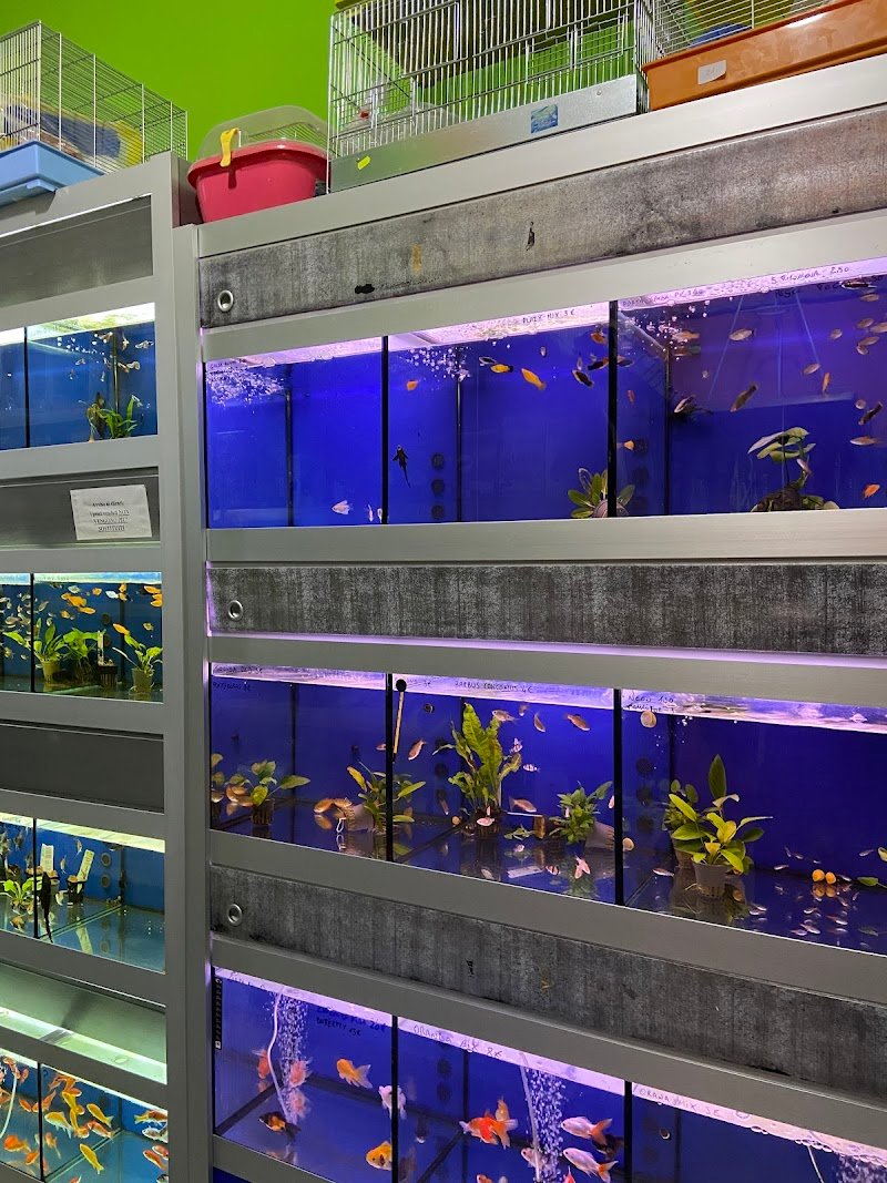 Animal Planet - Foto 4