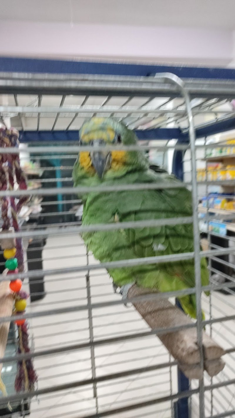 Animal Planet Store - Foto 1