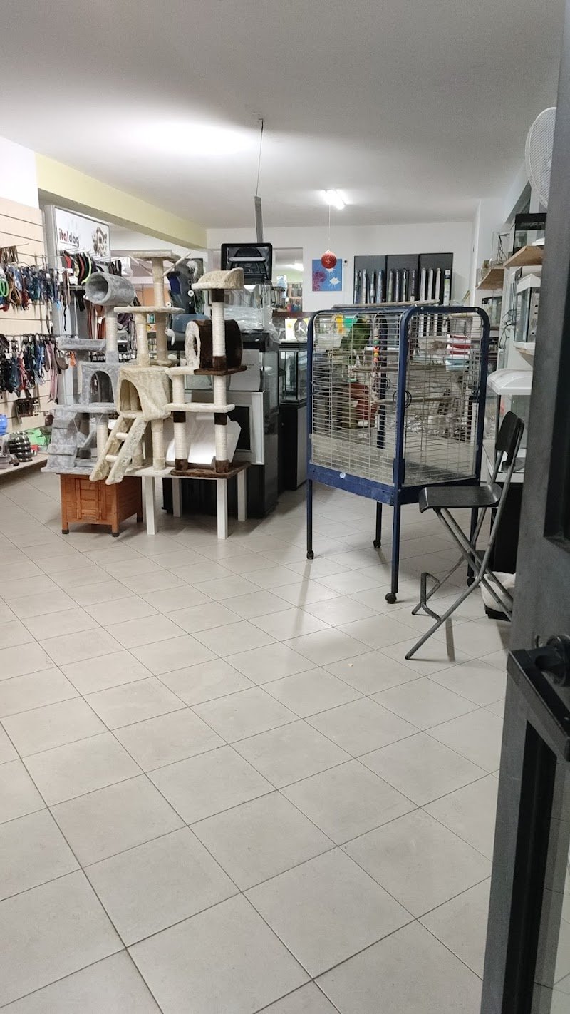 Animal Planet Store - Foto 3